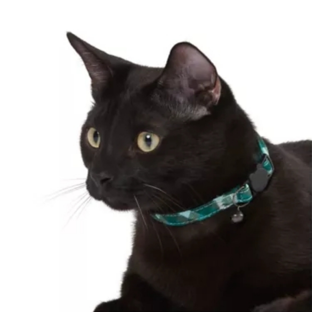 Whisker City Exclusive Green Plaid Easy Release Adult Cat Collar (8in-12in) NWT
